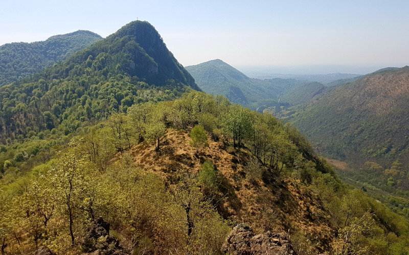 Cavagnano - Poncione