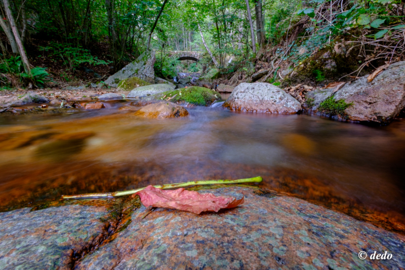 Cavagnano - Poncione